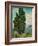 Cypresses. 1889-Vincent van Gogh-Framed Giclee Print