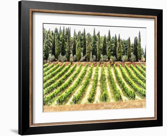 Cypresses and A Vineyard In Umbria-Dorothy Berry-Lound-Framed Giclee Print