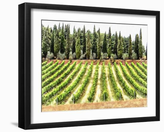 Cypresses and A Vineyard In Umbria-Dorothy Berry-Lound-Framed Giclee Print