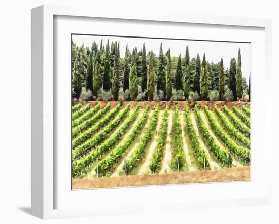 Cypresses and A Vineyard In Umbria-Dorothy Berry-Lound-Framed Giclee Print