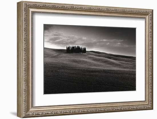 Cypresses and Rolling Hills-Michael Hudson-Framed Giclee Print
