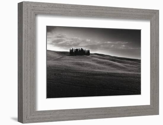 Cypresses and Rolling Hills-Michael Hudson-Framed Giclee Print