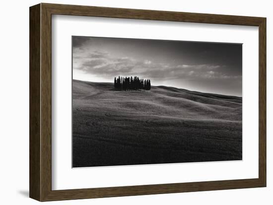 Cypresses and Rolling Hills-Michael Hudson-Framed Giclee Print