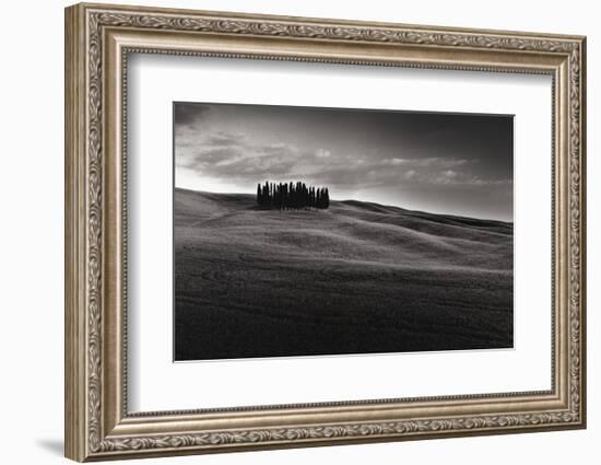 Cypresses and Rolling Hills-Michael Hudson-Framed Art Print