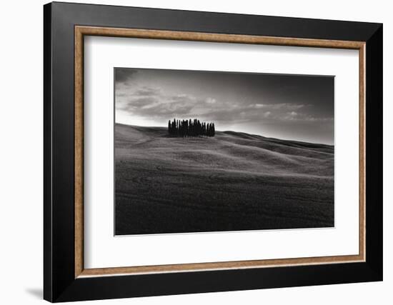 Cypresses and Rolling Hills-Michael Hudson-Framed Art Print