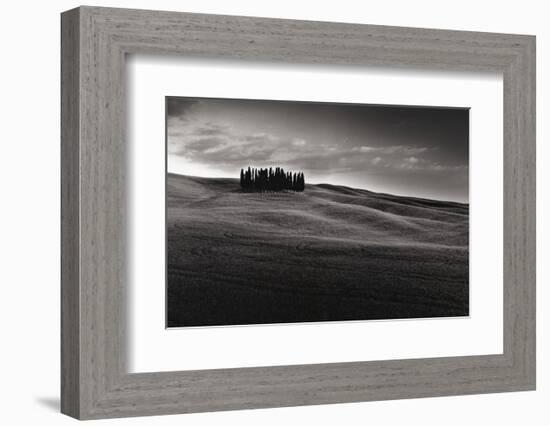 Cypresses and Rolling Hills-Michael Hudson-Framed Art Print
