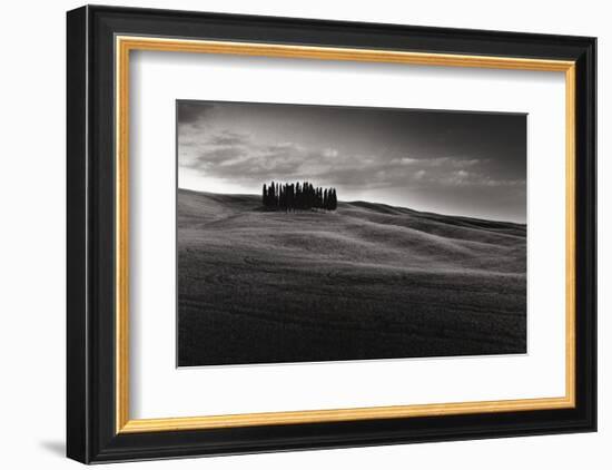 Cypresses and Rolling Hills-Michael Hudson-Framed Art Print