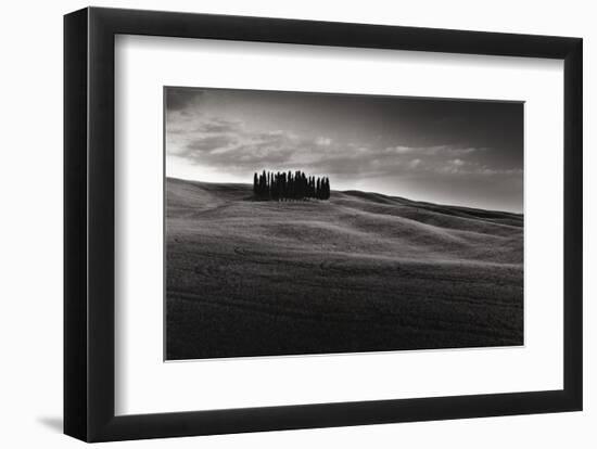 Cypresses and Rolling Hills-Michael Hudson-Framed Art Print
