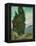 Cypresses I-Vincent van Gogh-Framed Stretched Canvas