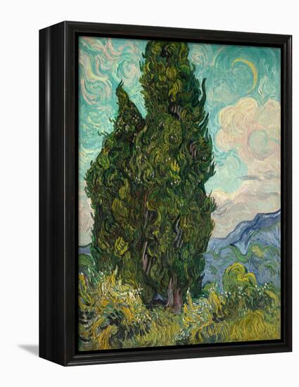 Cypresses I-Vincent van Gogh-Framed Stretched Canvas