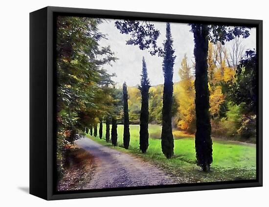 Cypresses In Autumn-Dorothy Berry-Lound-Framed Premier Image Canvas