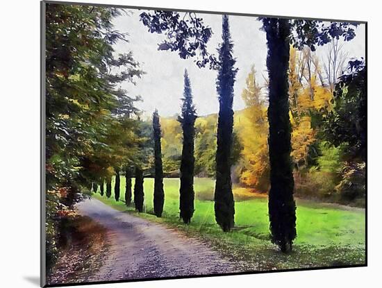 Cypresses In Autumn-Dorothy Berry-Lound-Mounted Giclee Print