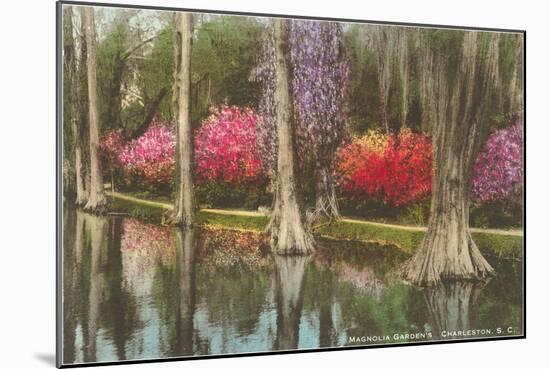 Cypresses in Magnolia Gardens, Charleston, South Carolina-null-Mounted Art Print