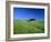 Cypresses on a field in the Tuscany-Herbert Kehrer-Framed Photographic Print