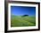 Cypresses on a field in the Tuscany-Herbert Kehrer-Framed Photographic Print