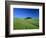 Cypresses on a field in the Tuscany-Herbert Kehrer-Framed Photographic Print