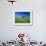 Cypresses on a field in the Tuscany-Herbert Kehrer-Framed Photographic Print displayed on a wall