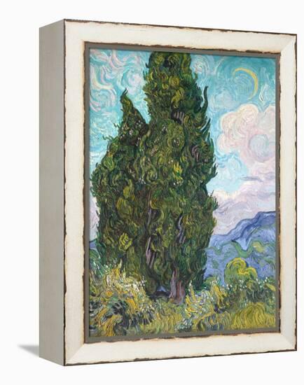 Cypresses-Vincent van Gogh-Framed Premier Image Canvas