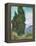 Cypresses-Vincent van Gogh-Framed Premier Image Canvas