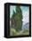 Cypresses-Vincent van Gogh-Framed Premier Image Canvas