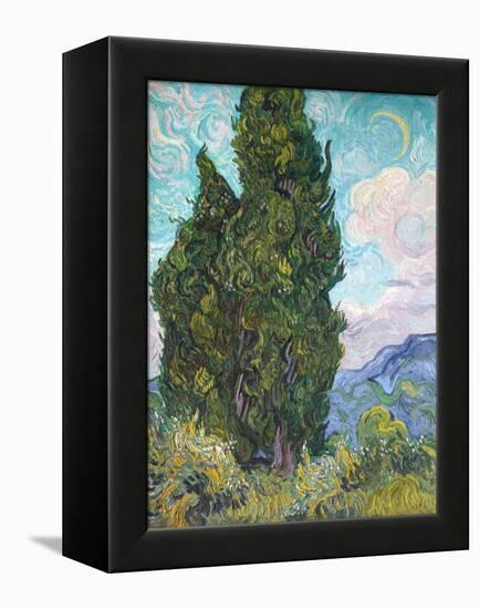 Cypresses-Vincent van Gogh-Framed Premier Image Canvas