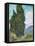 Cypresses-Vincent van Gogh-Framed Premier Image Canvas