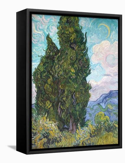 Cypresses-Vincent van Gogh-Framed Premier Image Canvas