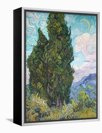 Cypresses-Vincent van Gogh-Framed Premier Image Canvas