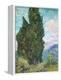 Cypresses-Vincent van Gogh-Framed Premier Image Canvas