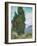 Cypresses-Vincent van Gogh-Framed Premium Giclee Print