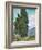 Cypresses-Vincent van Gogh-Framed Giclee Print