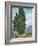 Cypresses-Vincent van Gogh-Framed Giclee Print