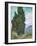 Cypresses-Vincent van Gogh-Framed Giclee Print