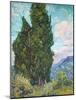 Cypresses-Vincent van Gogh-Mounted Giclee Print