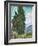 Cypresses-Vincent van Gogh-Framed Giclee Print