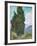 Cypresses-Vincent van Gogh-Framed Giclee Print