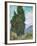 Cypresses-Vincent van Gogh-Framed Giclee Print