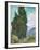 Cypresses-Vincent van Gogh-Framed Giclee Print