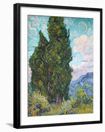 Cypresses-Vincent van Gogh-Framed Giclee Print