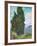 Cypresses-Vincent van Gogh-Framed Giclee Print