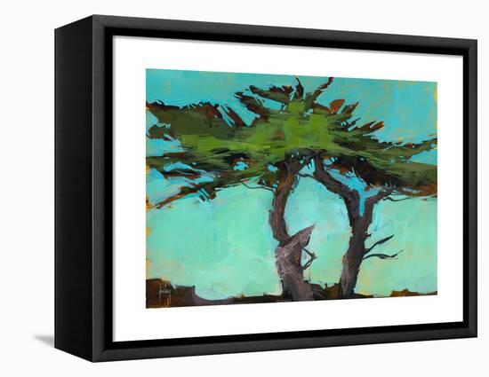 Cypresses-Paul Bailey-Framed Stretched Canvas