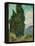 Cypresses-Vincent van Gogh-Framed Premier Image Canvas