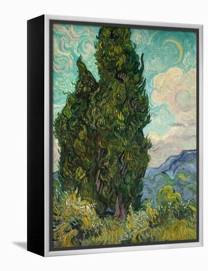 Cypresses-Vincent van Gogh-Framed Premier Image Canvas