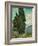 Cypresses-Vincent van Gogh-Framed Giclee Print