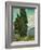 Cypresses-Vincent van Gogh-Framed Giclee Print