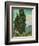 Cypresses-Vincent van Gogh-Framed Giclee Print