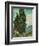 Cypresses-Vincent van Gogh-Framed Giclee Print