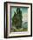 Cypresses-Vincent van Gogh-Framed Giclee Print