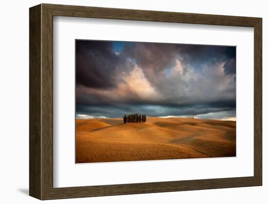 Cypresses-Marcin Sobas-Framed Photographic Print