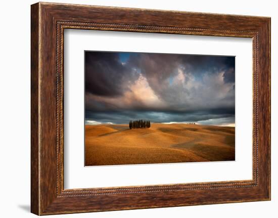 Cypresses-Marcin Sobas-Framed Photographic Print